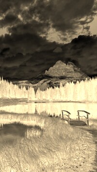 Sepia + Negatyw