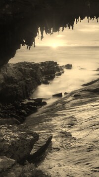 Sepia