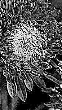 Skamielina