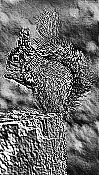 Skamielina