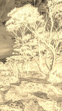 Sepia + Negatyw