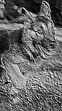 Skamielina