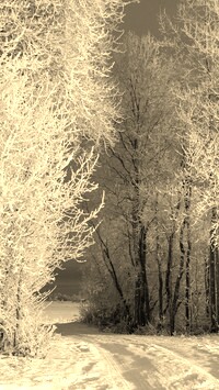 Szary + Sepia