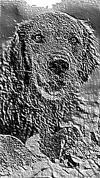 Skamielina