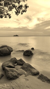 Sepia