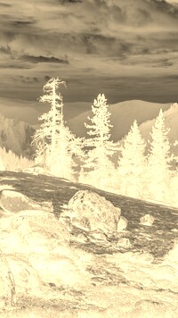 Sepia + Negatyw