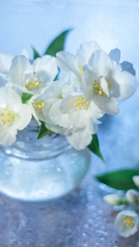 Oryginalny obrazek