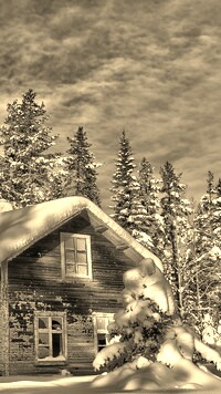 Szary + Sepia