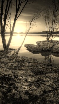 Szary + Sepia