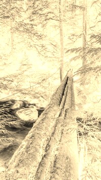 Sepia + Negatyw
