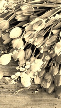 Szary + Sepia