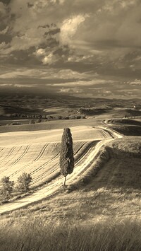 Sepia