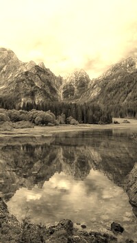 Szary + Sepia