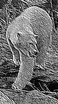 Skamielina
