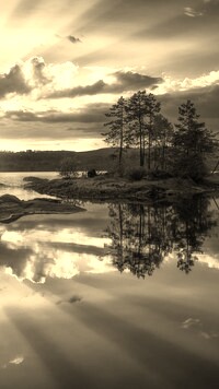 Sepia