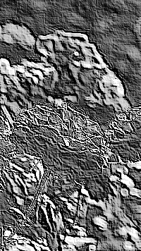 Skamielina
