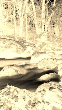 Sepia + Negatyw