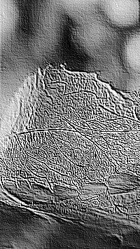 Skamielina