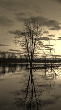 Szary + Sepia