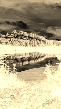 Sepia + Negatyw