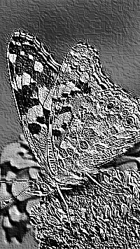 Skamielina