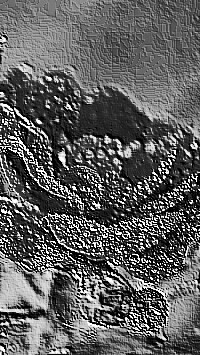 Skamielina
