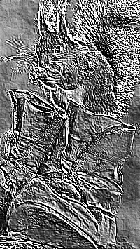 Skamielina
