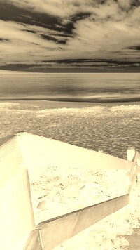 Sepia + Negatyw