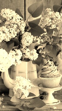 Szary + Sepia