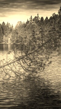Szary + Sepia