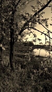 Szary + Sepia