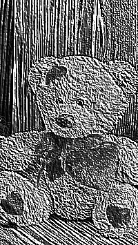 Skamielina