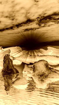 Sepia + Negatyw