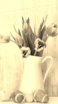Szary + Sepia