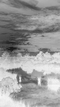 Szary + Negatyw