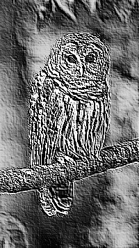 Skamielina