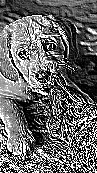 Skamielina