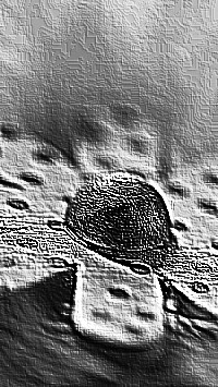 Skamielina