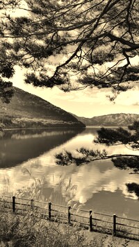 Sepia
