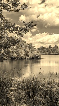 Sepia