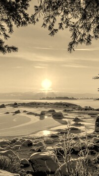 Szary + Sepia