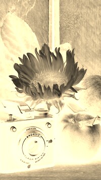 Sepia + Negatyw