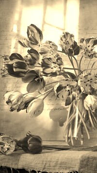 Szary + Sepia