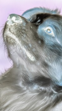 Negatyw