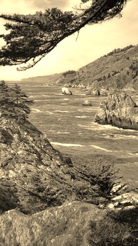 Szary + Sepia