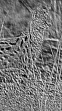 Skamielina