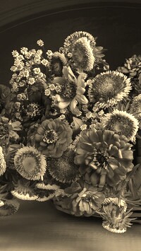 Szary + Sepia