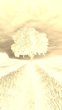 Sepia + Negatyw