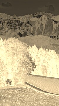 Sepia + Negatyw
