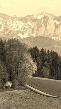 Sepia